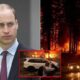 Prince William’s family’s surprise $56 million donation to victims and frontline firefighters of the Los Angeles wildfires. I am heartbroken to see thousands of victims left homeless and forced to evacuate…see more